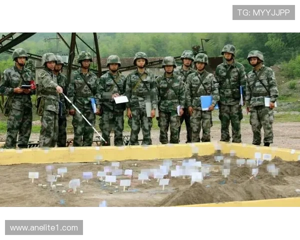 武汉乒乓球队阵地战打法深度解析与战术应用探讨