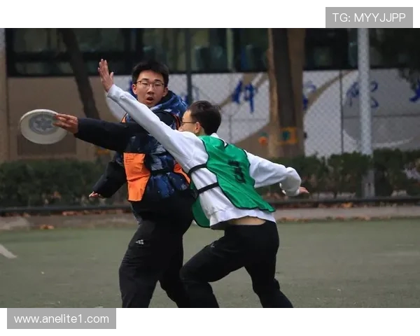 飞盘竞技的魅力：深入了解广州飞盘队的默契配合与战术运用