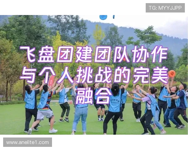 南京飞盘队的意识探讨与团队协作精神的深度剖析与反思