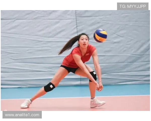 排球装备选购指南：如何选择适合的护膝产品推荐与使用技巧